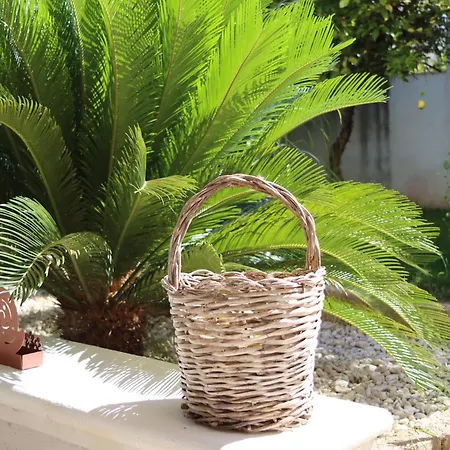 Gloria Hébergement de vacances Lucugnano
