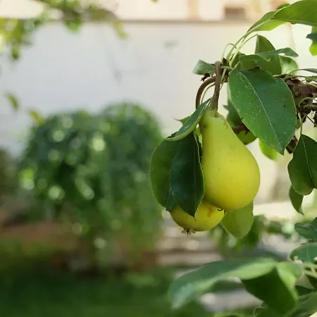 Gloria * Lucugnano